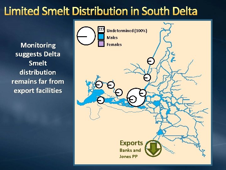 Limited Smelt Distribution in South Delta 227 Undetermined (100%) Monitoring suggests Delta Smelt distribution