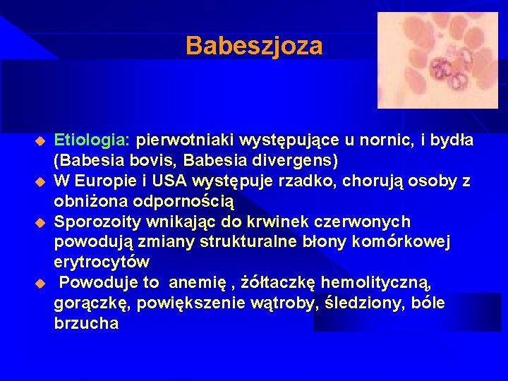 Babeszjoza u u Etiologia: pierwotniaki występujące u nornic, i bydła (Babesia bovis, Babesia divergens)