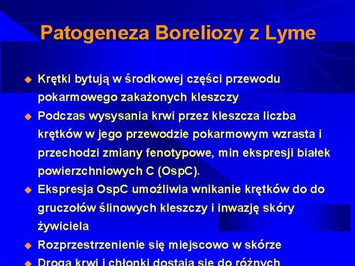 Patogeneza Boreliozy z Lyme u Krętki bytują w środkowej części przewodu pokarmowego zakażonych kleszczy