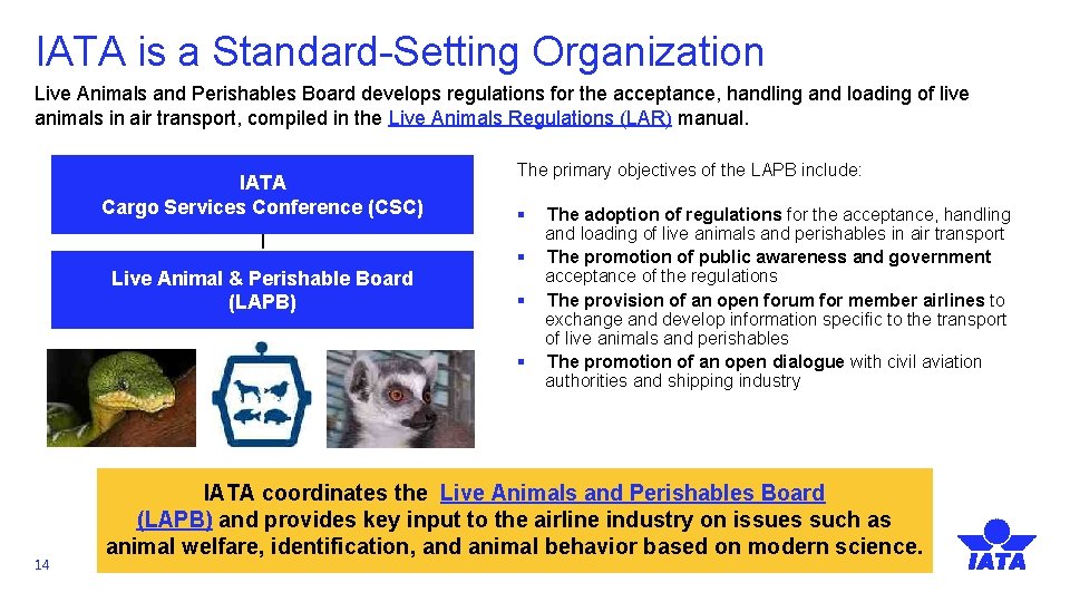 IATA is a Standard-Setting Organization Live Animals and Perishables Board develops regulations for the