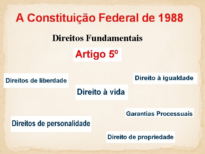 A Constituição Federal de 1988 Direitos Fundamentais 