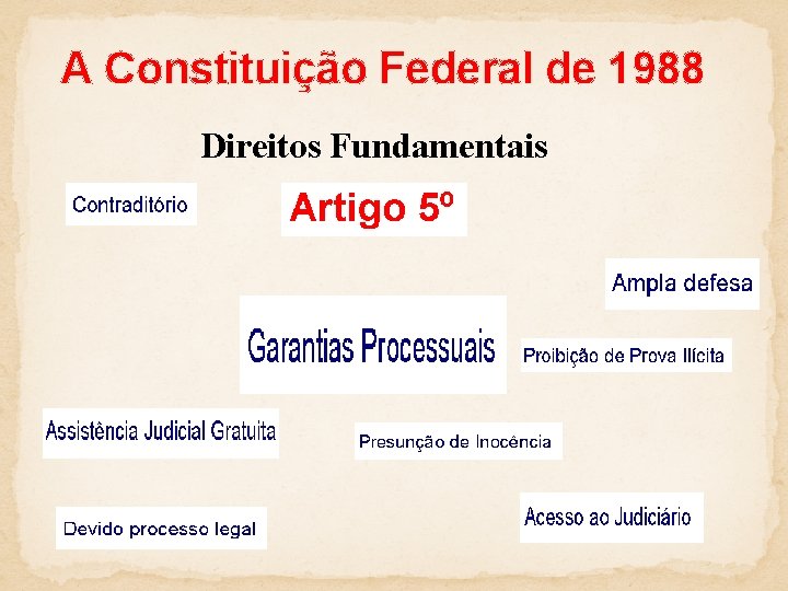 A Constituição Federal de 1988 Direitos Fundamentais 