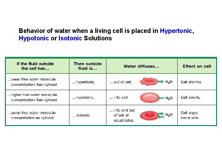 Behavior of water when a living cell is placed in Hypertonic, Hypotonic or Isotonic