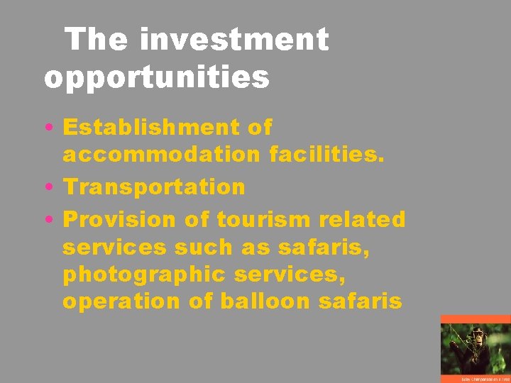 The investment opportunities • Establishment of accommodation facilities. • Transportation • Provision of tourism