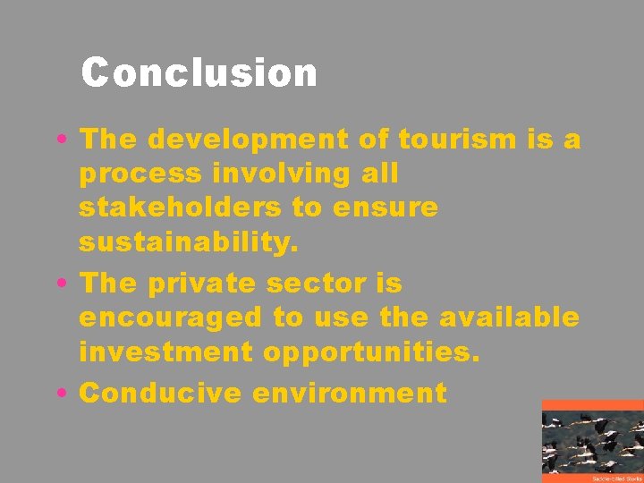 Conclusion • The development of tourism is a process involving all stakeholders to ensure