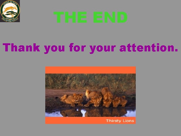THE END Thank you for your attention. 
