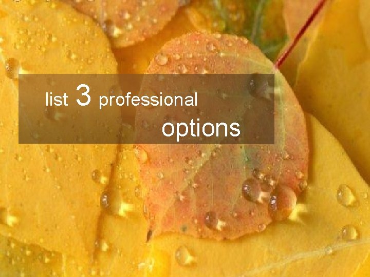 Managing Risks List Three Professional Options list 3 professional options 