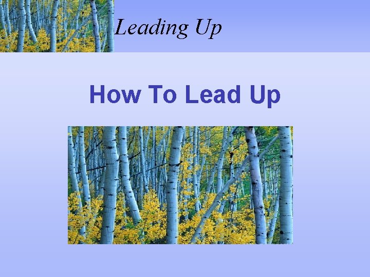 Leading Up How To Lead Up 