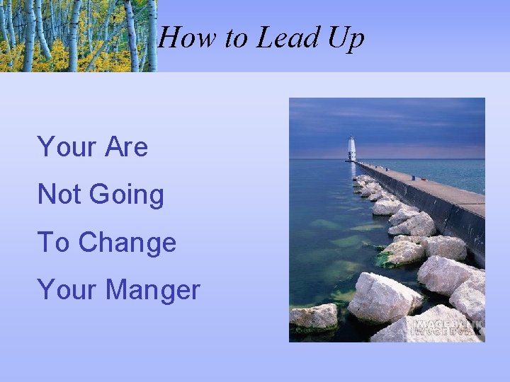 How to Lead Up Your Are Not Going To Change Your Manger 