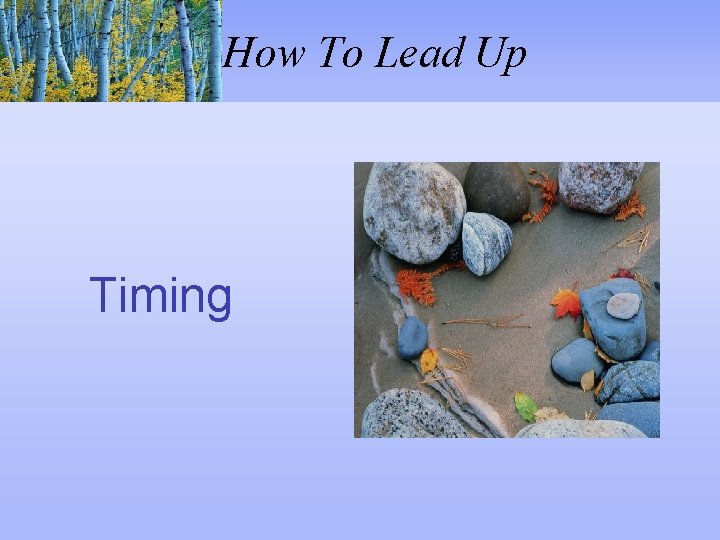 How To Lead Up Timing 