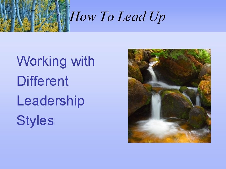 How To Lead Up Working with Different Leadership Styles 