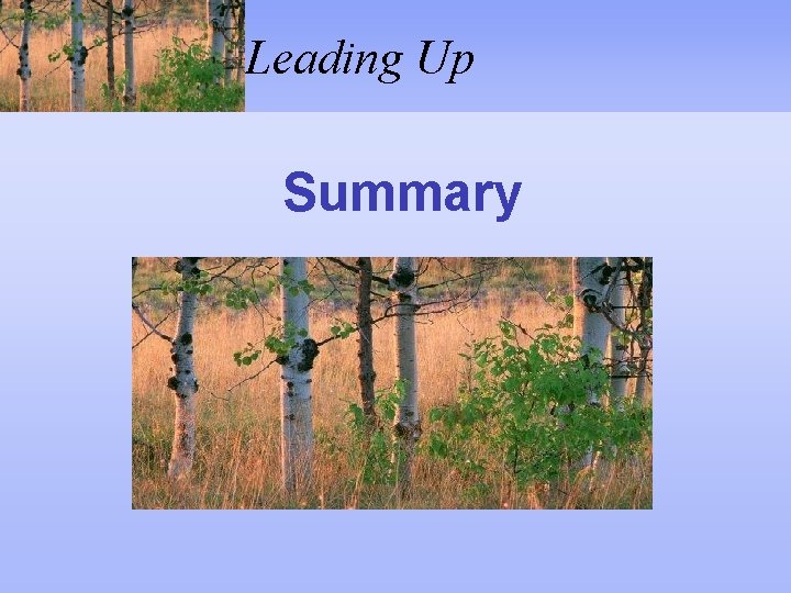 Leading Up Summary 