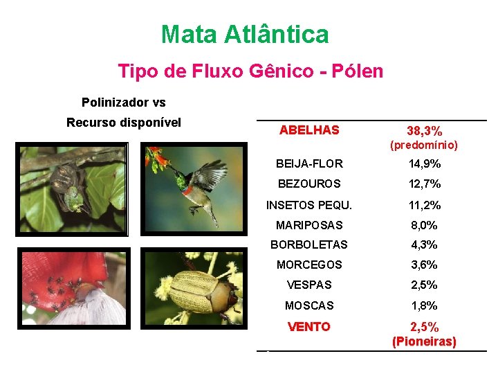 Bioma Mata Atlântica Tipo de Fluxo Gênico - Pólen Polinizador vs Recurso disponível Polinizadores