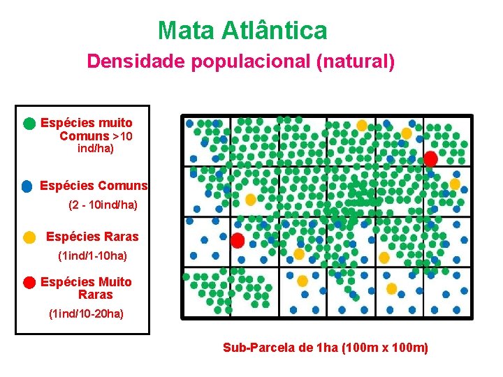 Bioma Mata Atlântica Organização das espécies Densidade populacional (natural) Espécies muito Comuns(>10 ind/ha) Espécies