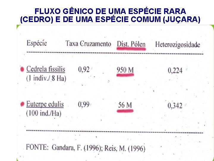 FLUXO GÊNICO DE UMA ESPÉCIE RARA (CEDRO) E DE UMA ESPÉCIE COMUM (JUÇARA) 