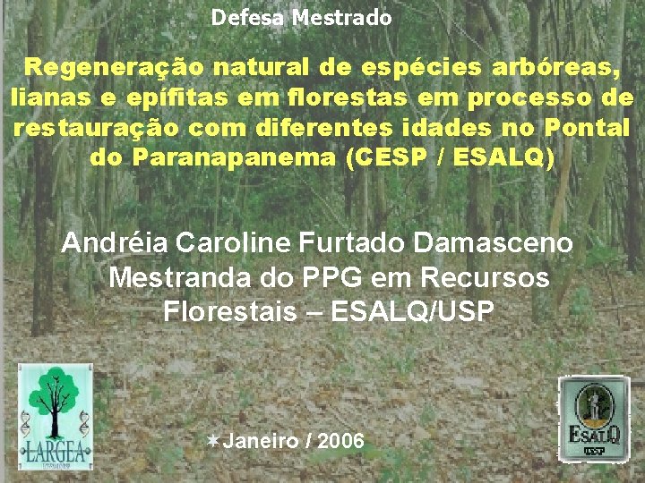 Defesa Mestrado Regeneração natural de espécies arbóreas, lianas e epífitas em florestas em processo