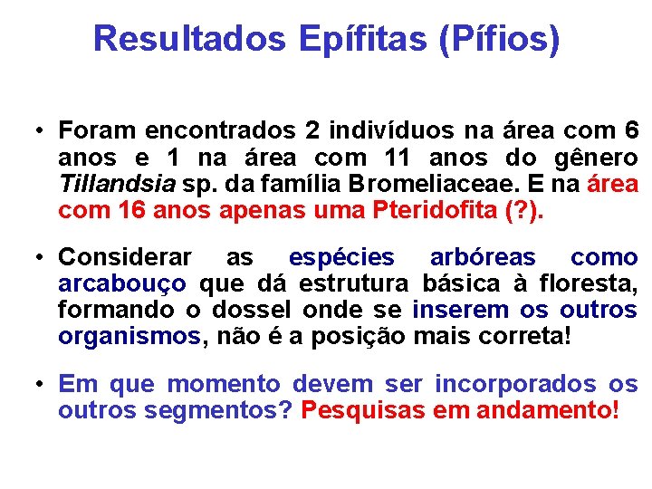 Resultados Epífitas (Pífios) • Foram encontrados 2 indivíduos na área com 6 anos e