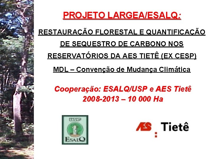 PROJETO LARGEA/ESALQ: RESTAURAÇÃO FLORESTAL E QUANTIFICAÇÃO DE SEQUESTRO DE CARBONO NOS RESERVATÓRIOS DA AES