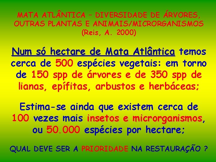 MATA ATL NTICA – DIVERSIDADE DE ÁRVORES, OUTRAS PLANTAS E ANIMAIS/MICRORGANISMOS (Reis, A. 2000)