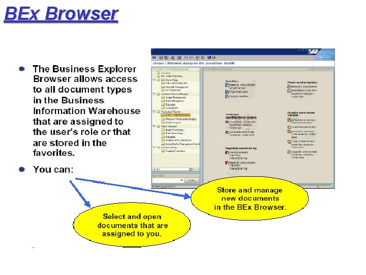 BEx Browser 