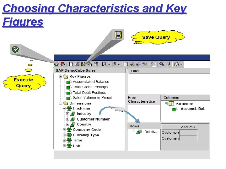 Choosing Characteristics and Key Figures 