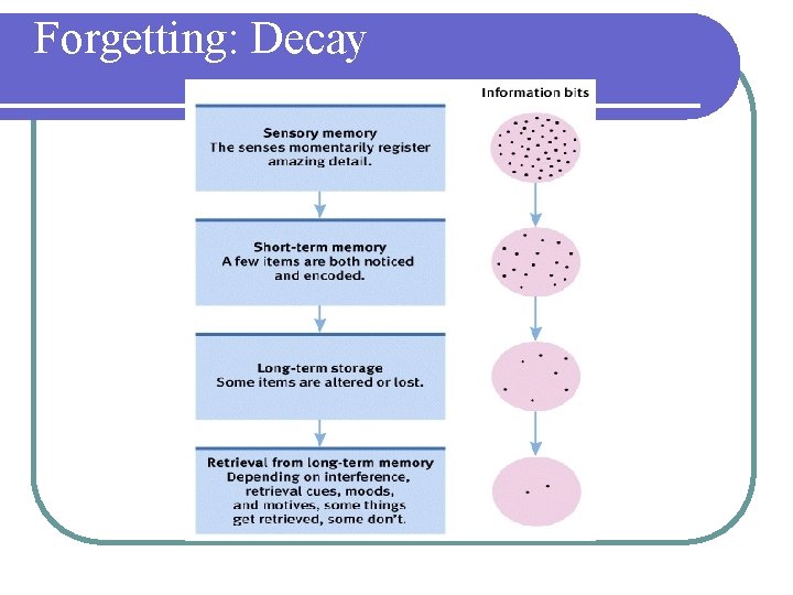 Forgetting: Decay 