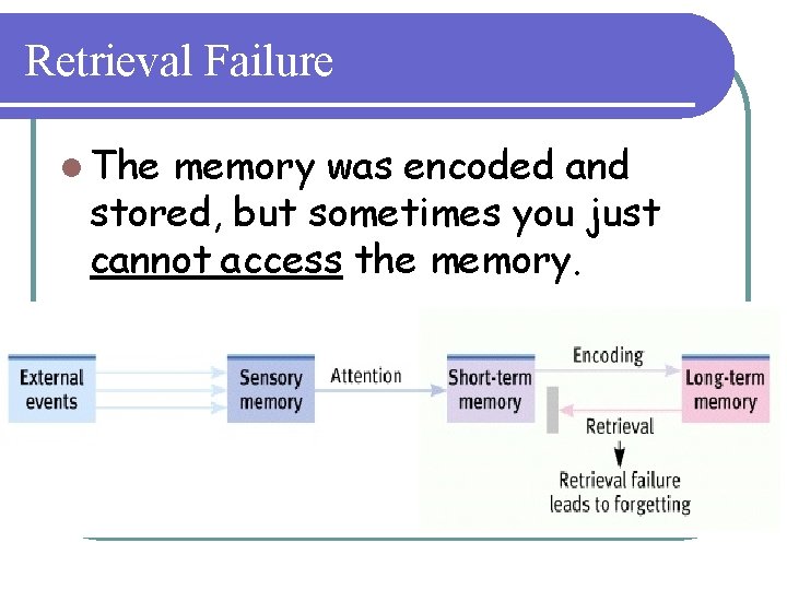 Retrieval Failure l The memory was encoded and stored, but sometimes you just cannot