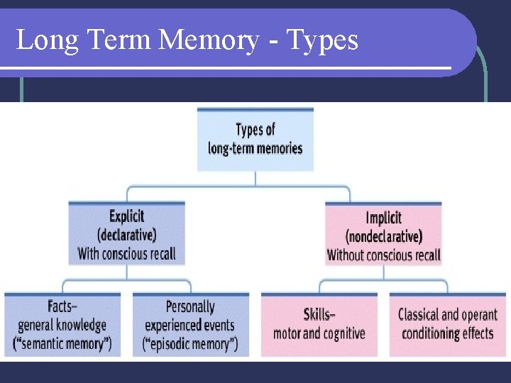 Long Term Memory - Types 