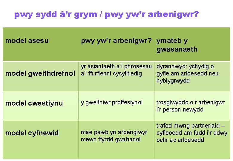 pwy sydd â’r grym / pwy yw’r arbenigwr? model asesu pwy yw’r arbenigwr? ymateb