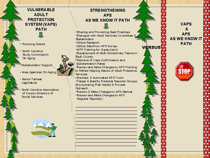 VULNERABLE ADULT PROTECTION SYSTEM (VAPS) PATH ~ Pursuing Grants ~ North Carolina Study Commission