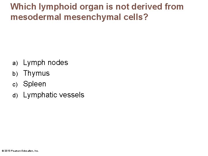 Which lymphoid organ is not derived from mesodermal mesenchymal cells? Lymph nodes b) Thymus