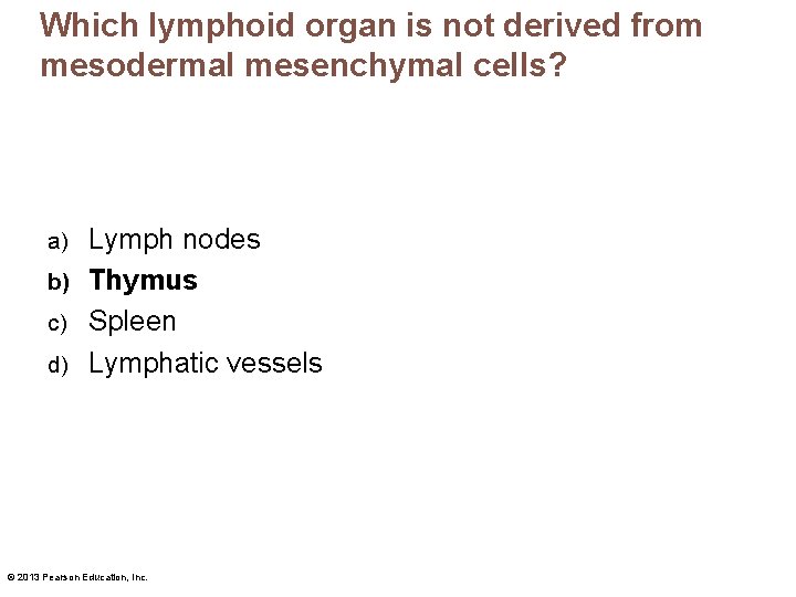 Which lymphoid organ is not derived from mesodermal mesenchymal cells? Lymph nodes b) Thymus