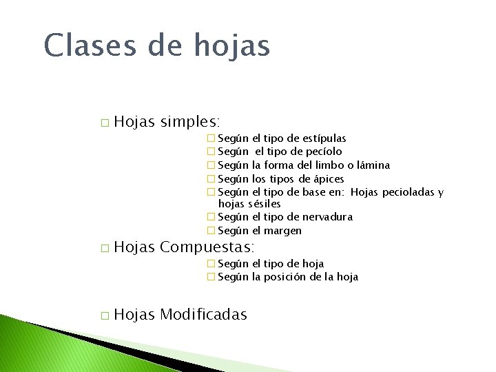 Clases de hojas � Hojas simples: � Según el tipo de estípulas � Según