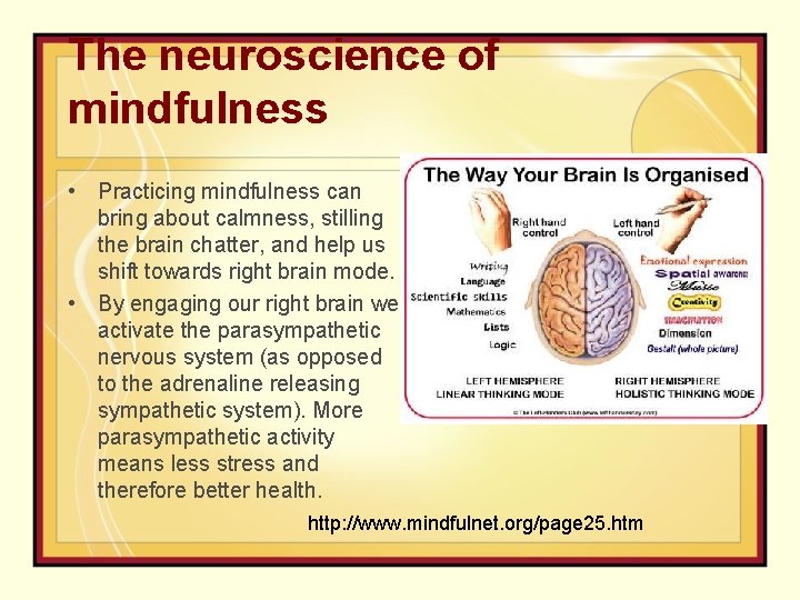 The neuroscience of mindfulness • Practicing mindfulness can bring about calmness, stilling the brain