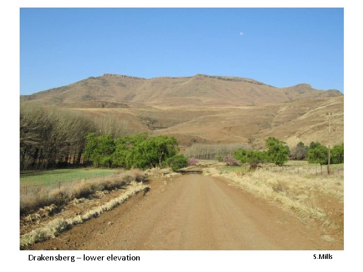 Drakensberg – lower elevation S. Mills Drakensberg – lower elevation S. Mills