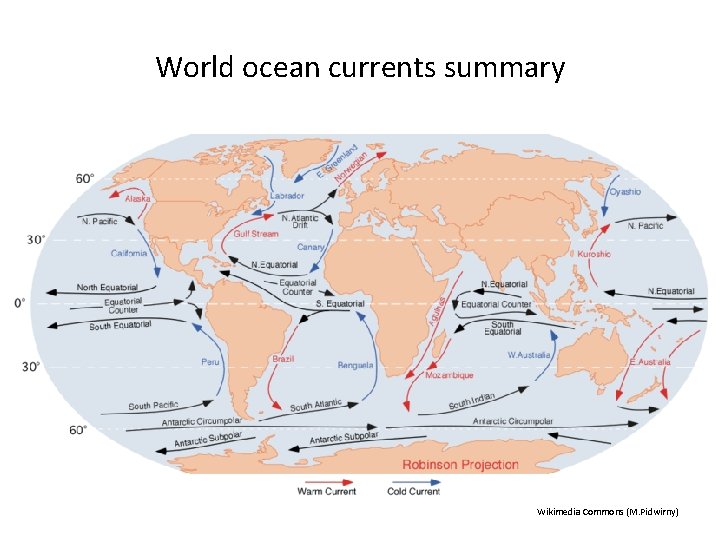World ocean currents summary Wikimedia Commons (M. Pidwirny) 