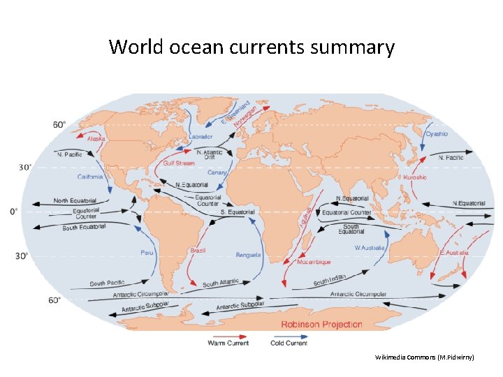World ocean currents summary Wikimedia Commons (M. Pidwirny) World ocean currents summary Wikimedia Commons (M. Pidwirny)