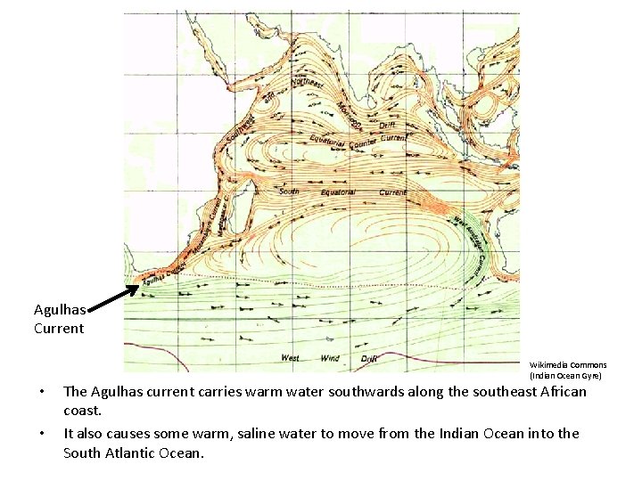 Agulhas Current Wikimedia Commons (Indian Ocean Gyre) • • The Agulhas current carries warm