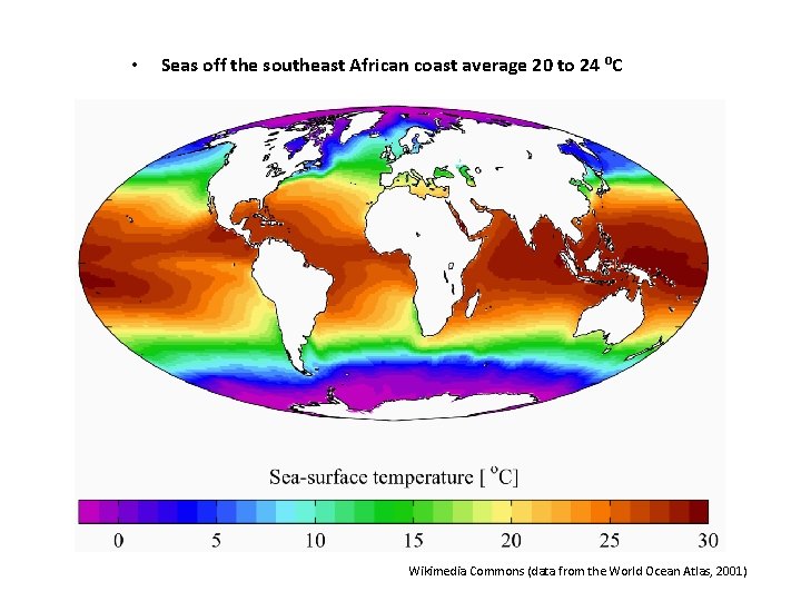• Seas off the southeast African coast average 20 to 24 ⁰C Wikimedia • Seas off the southeast African coast average 20 to 24 ⁰C Wikimedia