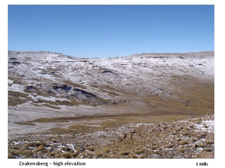 Drakensberg – high elevation S. Mills Drakensberg – high elevation S. Mills