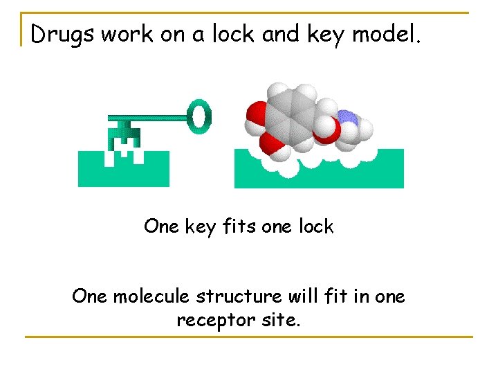 Drugs work on a lock and key model. One key fits one lock One