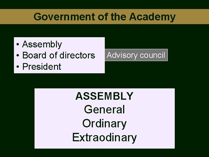 Government of the Academy • Assembly • Board of directors • President Advisory council