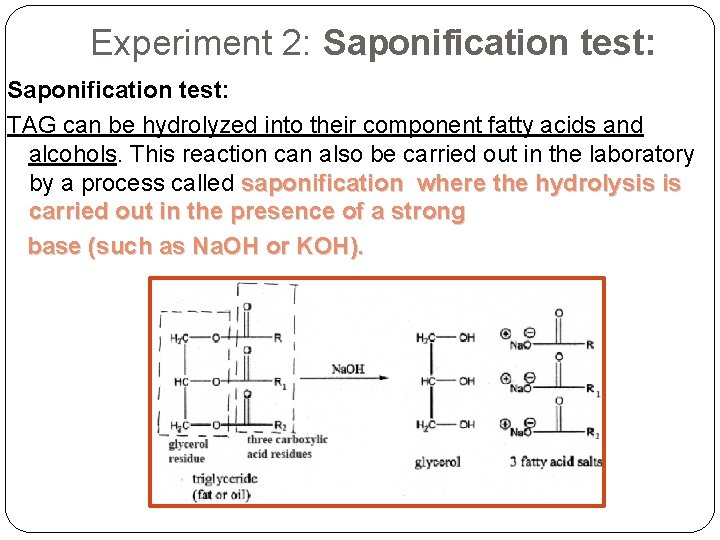 Experiment 2: Saponification test: TAG can be hydrolyzed into their component fatty acids and