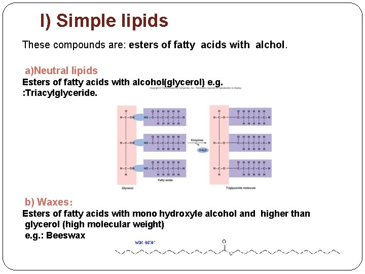 I) Simple lipids These compounds are: esters of fatty acids with alchol. a)Neutral lipids
