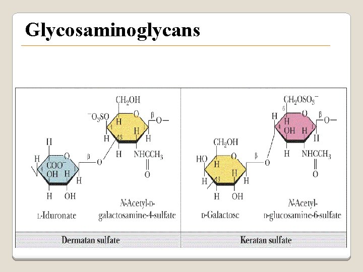 1 Dr Ali Moradi Shaidsadoughi University Biochemistry Department