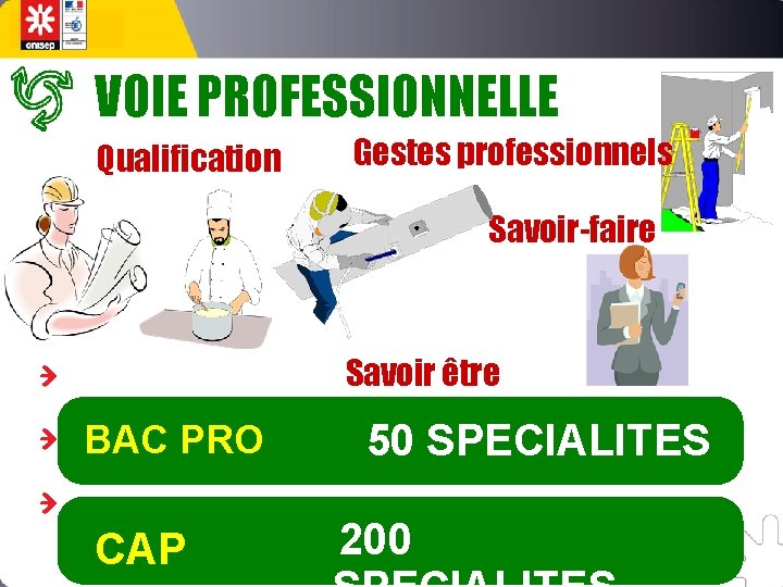 VOIE PROFESSIONNELLE Qualification Gestes professionnels Savoir-faire Savoir être BAC PRO CAP 50 SPECIALITES 200