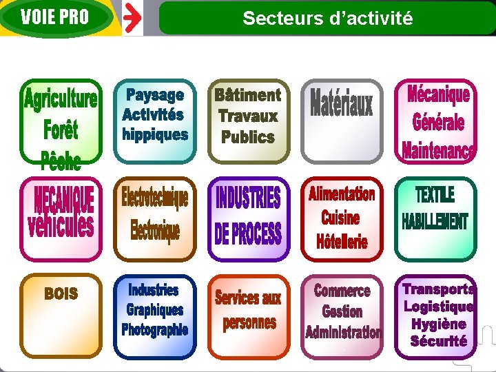 VOIE PRO Secteurs d’activité 