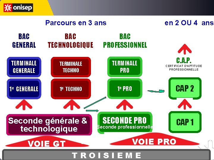 Parcours en 3 ans en 2 OU 4 ans BAC GENERAL BAC TECHNOLOGIQUE BAC