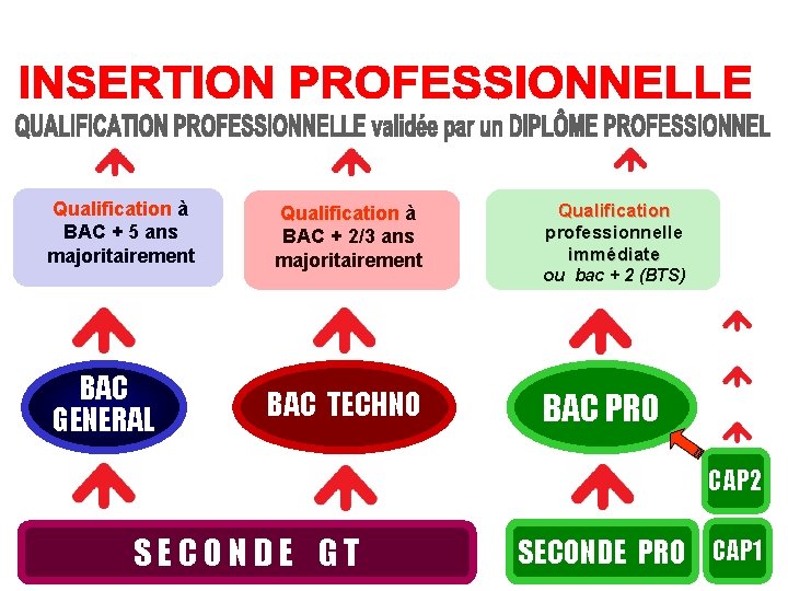 Qualification à BAC + 5 ans majoritairement BAC GENERAL Qualification à BAC + 2/3