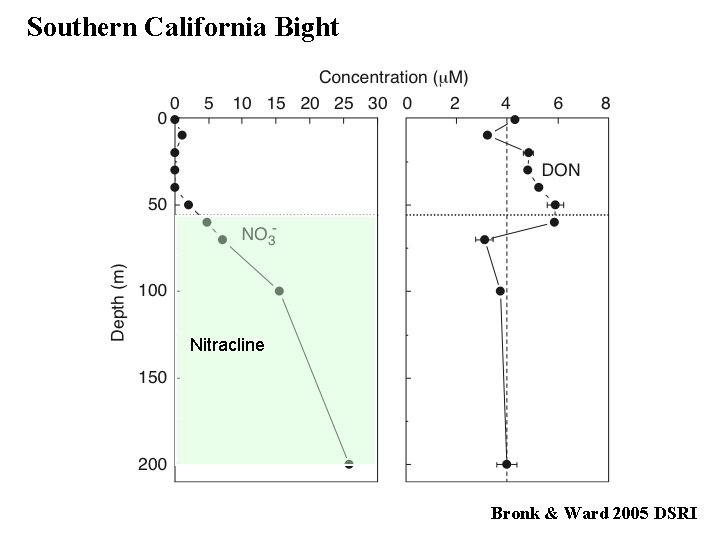 Southern California Bight Nitracline Bronk & Ward 2005 DSRI 